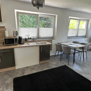 Apartment Oberleins Küche